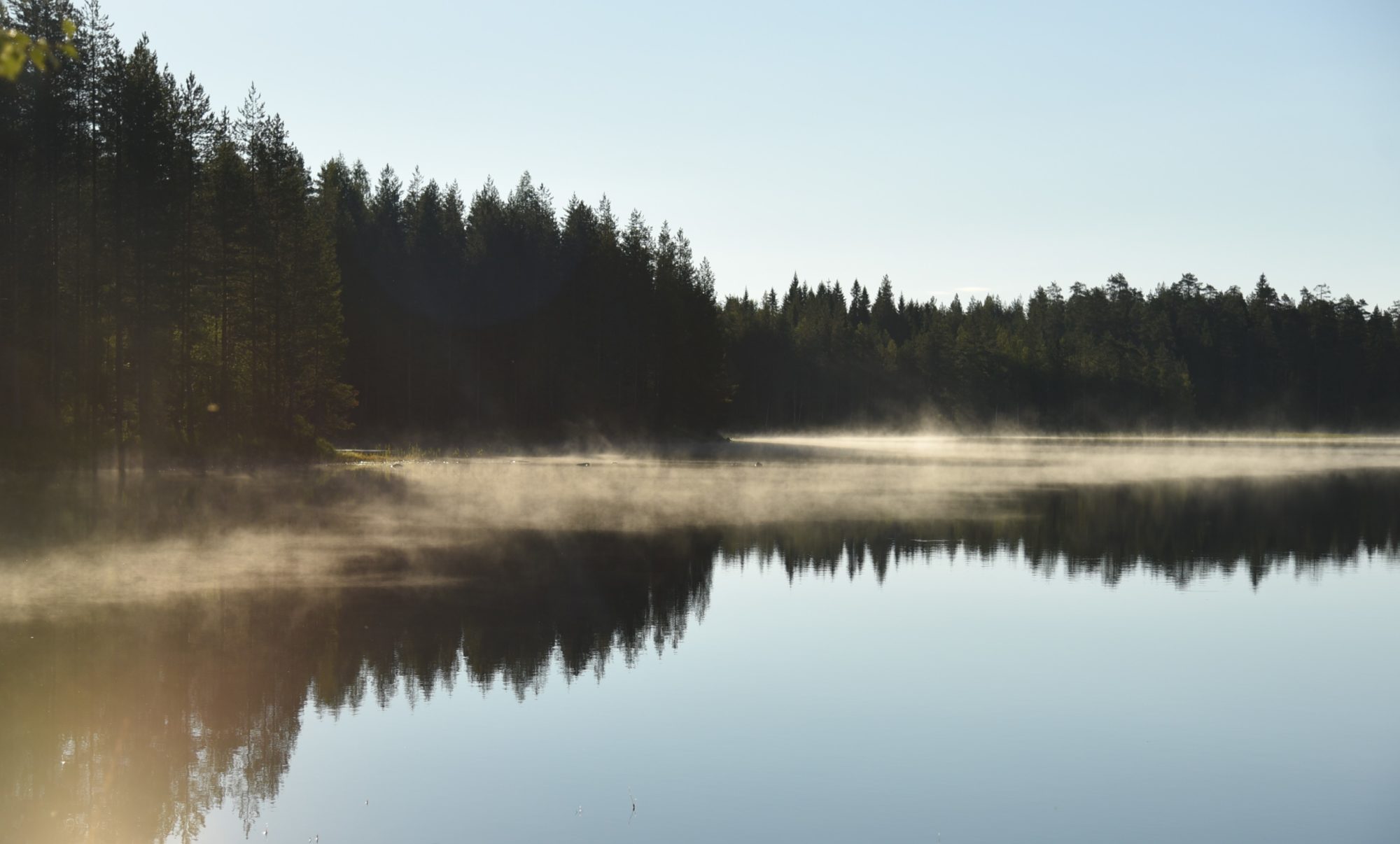 Pysyvään elämänmuutokseen tarvitaan sisäistä motivaatiota